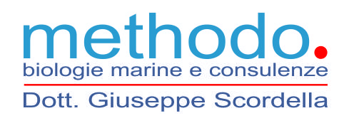 logo_2009